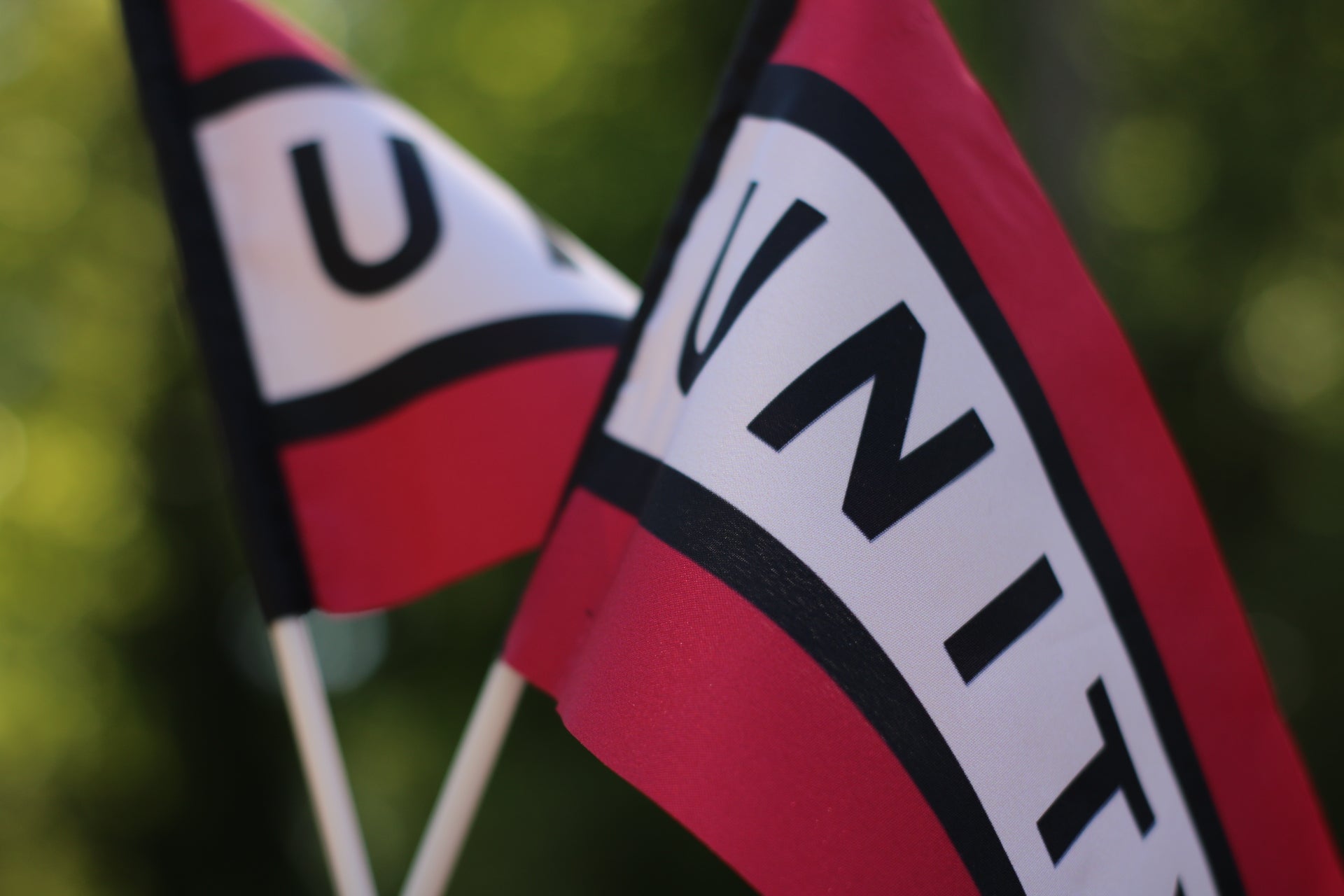 Black Unity Flag Hand Flags (2-Pack) – Black Fellowship Collection