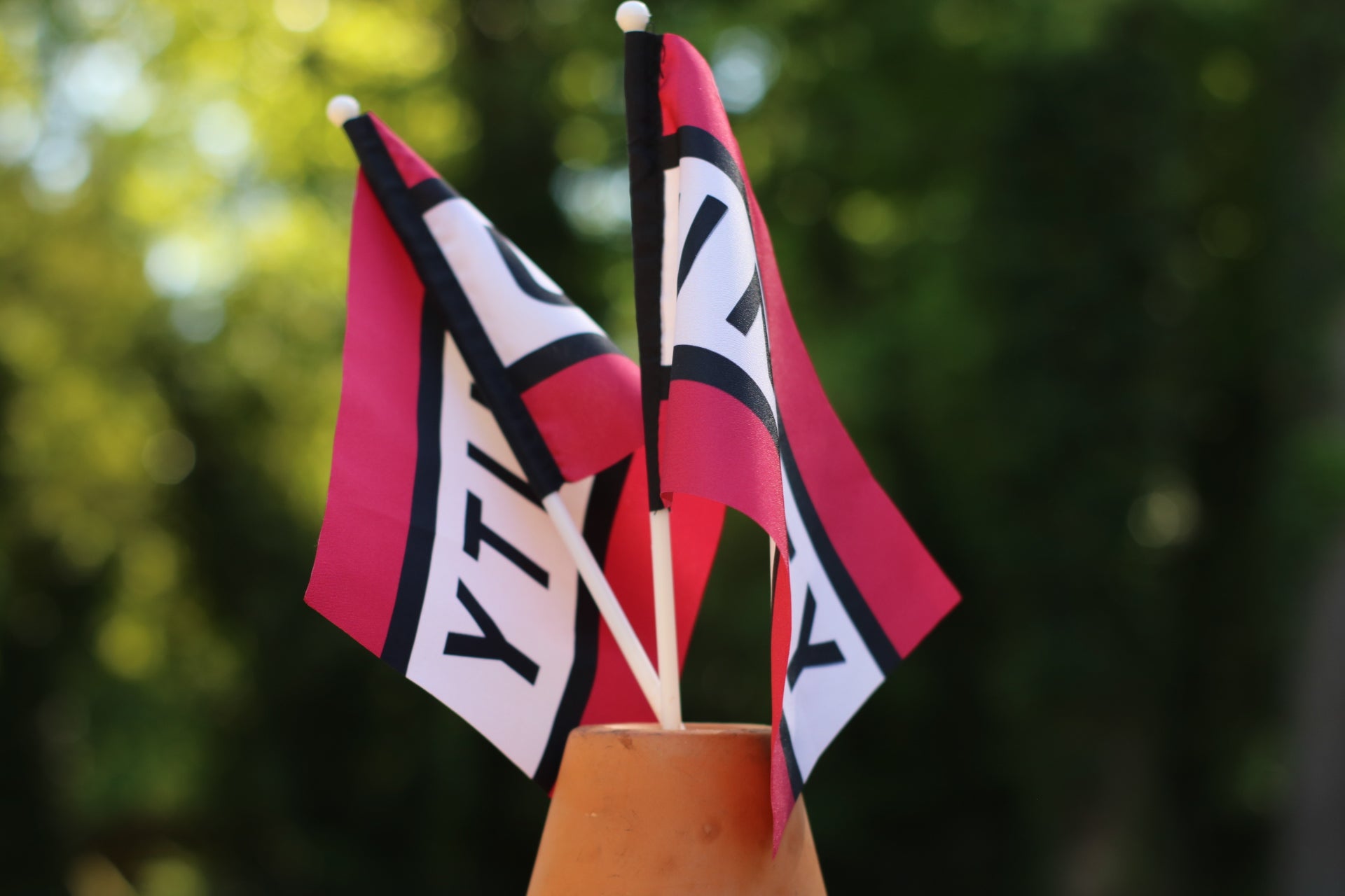 Black Unity Flag Hand Flags (2-Pack) – Black Fellowship Collection