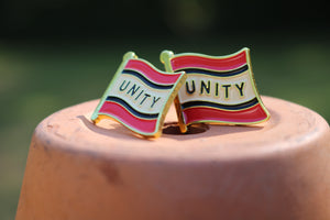 Unity Flag Lapel Pins (2-Pack)