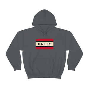 Big Unity Flag - Hooded Sweatshirt